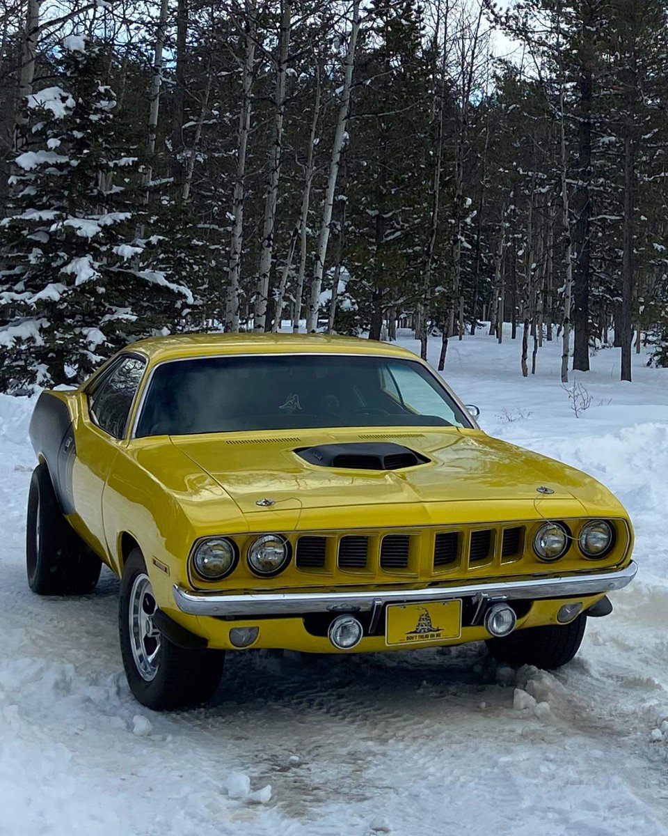 Badass Plymouth Cuda. Dope or nope? What would you change on it if you owned it?