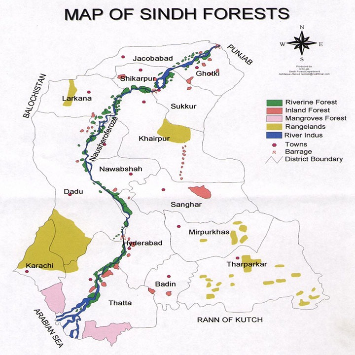 The Forest Department is responsible for mapping the forests of Karachi and ensuring their safety. Currently, thousands of acres of land in Karachi, including Malir, are under the control of the builders' mafia.... 1/2
#SaveMalir
#SaveKarachi 
<a href="/UN/">United Nations</a> <a href="/UN_HRC/">UN Human Rights Council</a> <a href="/UNEP/">UN Environment Programme</a> <a href="/UNFCCC/">UN Climate Change</a>