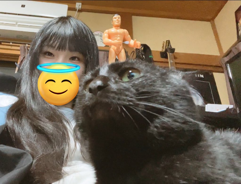 ニャン吉 新井さん on X: 