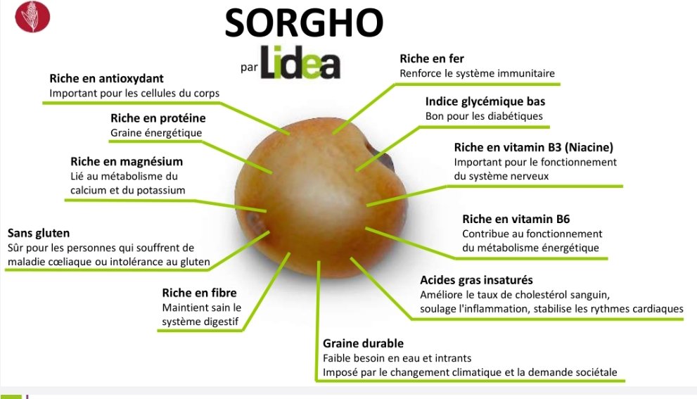 elhadjham's tweet photo. Le #sorgho l'ami de l'Afrique qui veut nourrir sa population. #LIDEA, le partenaire qui met des semences adaptées à vos besoins. Rejoignez-nous pour une Afrique libre et prospère. #AGRITRADE #AFRICA au #TOGO 
@FAO 
#PAM https://t.co/6VRfhfoFUA