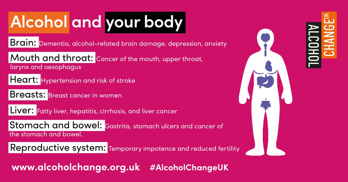 Drinking #alcohol can affect your body in all sorts of different ways.

⁉️Did you know more than 50 studies have confirmed that alcohol is a risk factor for #breastcancer? Or that drinking too much can cause #stomach ulcers?

Find out more in our body map: alcoholchange.org.uk/alcohol-facts/…