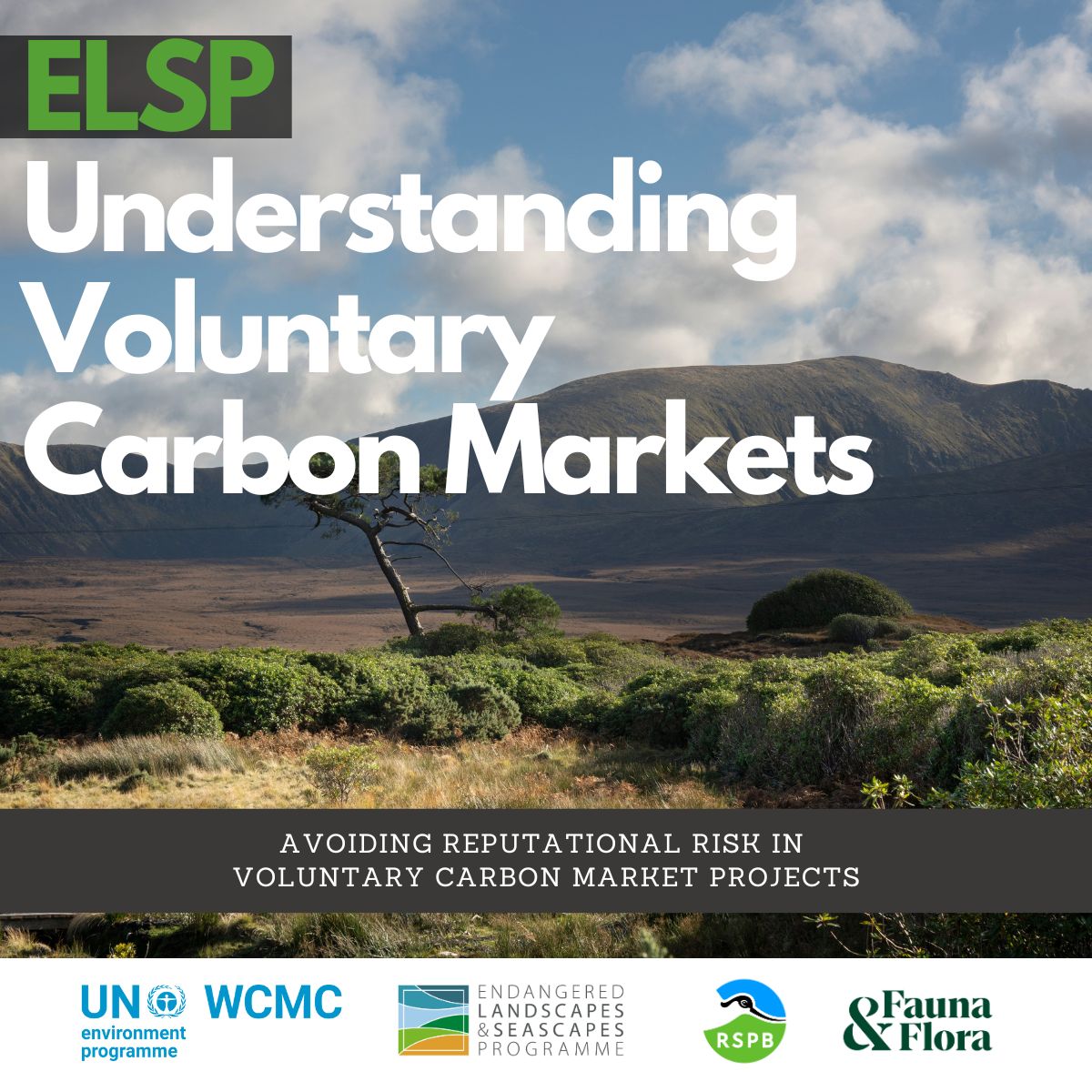 How can restoration practitioners in Europe avoid common risks when engaging with voluntary carbon markets? A new primer produced by UNEP-WCMC, @RSPB and @FaunaFloraInt explores how:: tinyurl.com/4a9k8ywf #GenerationRestoration 🌱