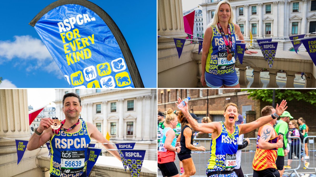 Thank you so much to each and every one of our amazing runners who tackled the mighty London Marathon 2024🏆 No matter the pace or time, everyone who faces this challenge is a winner and #TeamAnimal raised an outstanding £26,000! Sign up for next year: bit.ly/3uC5jty