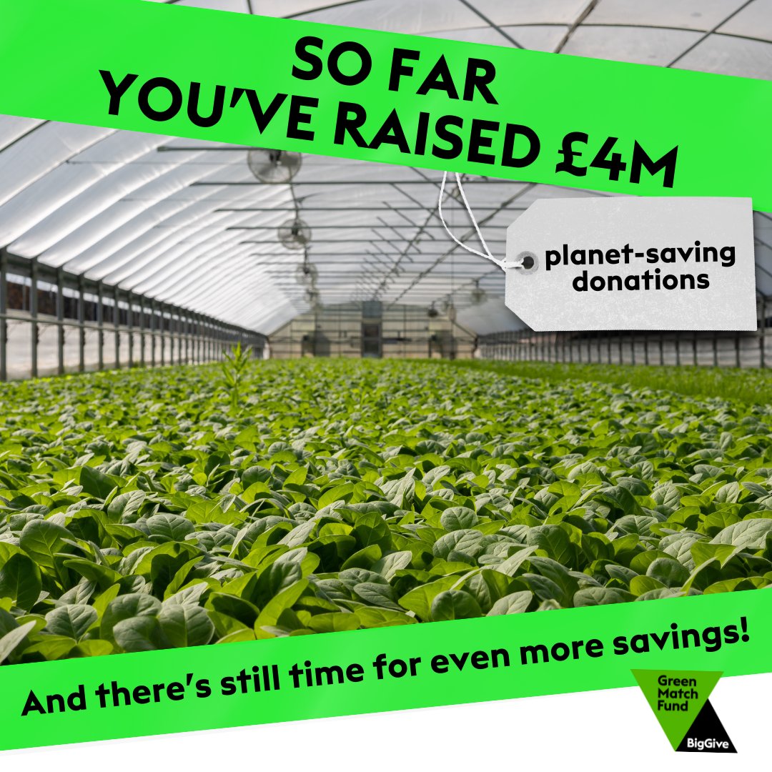 Thank you to everyone who has donated to #GreenMatchFund so far. Every donation will double your impact on the planet! #2for1nature💚
If you haven't donated yet - don't miss your chance. We'll stop doubling at 12pm (midday), Thursday 25th April. Visit: bit.ly/GMF24Social