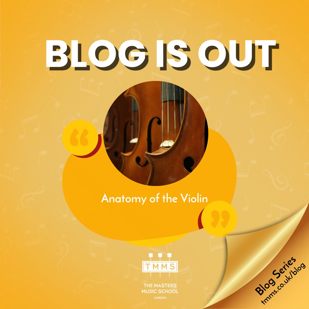 Learn about the design and individual parts of the violin in our latest blog post. #violinanatomy #violin #violinmusic #TMMS #TheMastersMusicSchool #tmmslondon #violinblog Click the link to read the full post! bit.ly/448FDGu