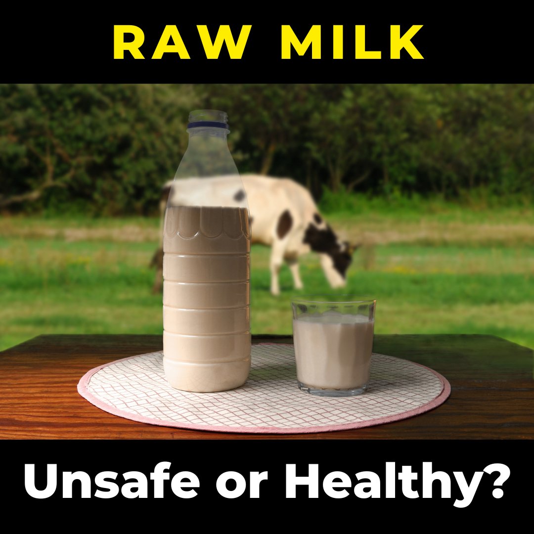 Raw milk refers to unpasteurized milk.

Milk is typically pasteurized to kill bad bacteria.

However, some organizations and groups swear by raw milk.

I dug into the subject years ago.

You might be surprised like I was.

THREAD