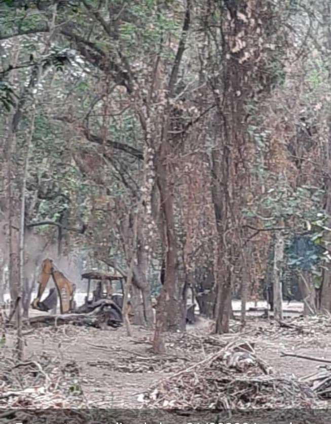 Así me lo enviaron!
ECOSIDIO EN JARDIN BOTANICO Y HERBARIO DE CARABOBO
En el estado Carabobo, en el Jardín Botánico ubicado en el Municipio Naguanagua, se vienen cometiendo ilicitos ambientales, al eliminar el Sotobosque que conforma el último relicto urbano de un Bosque Tropical