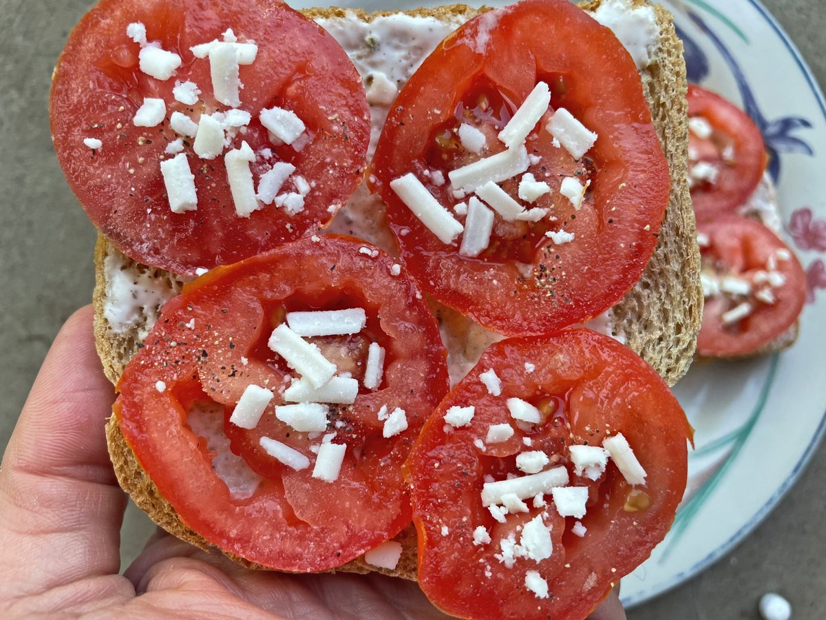 Tomato Toast!!
.
. 
.
. 
#tomato #tomatotoast #toast #cheeze #vegancheese #veganlife #vegan #veganfood #plantbased #veganism #veganfoodshare #whatveganseat #veganfoodporn #veganfoodie #veganfortheanimals #portlandvegans #vegetarian #govegan #pdxvegans #vegandinner #vegancommunity