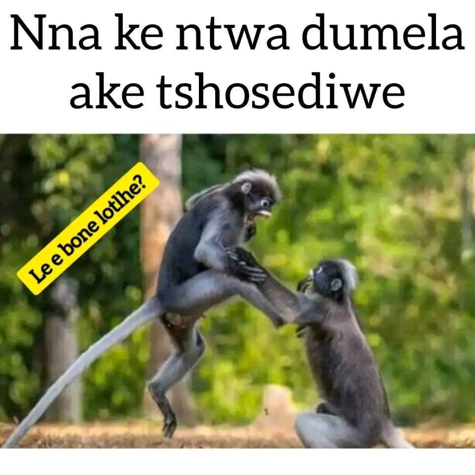 Dirtymindza's tweet photo. @ChrisExcel102 Chris o bua nnete. https://t.co/mVSPlVVkWa