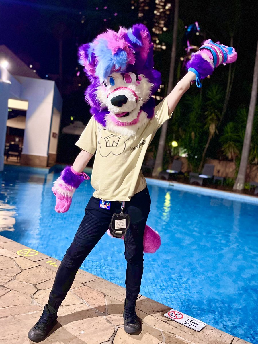 Floofs tweet media