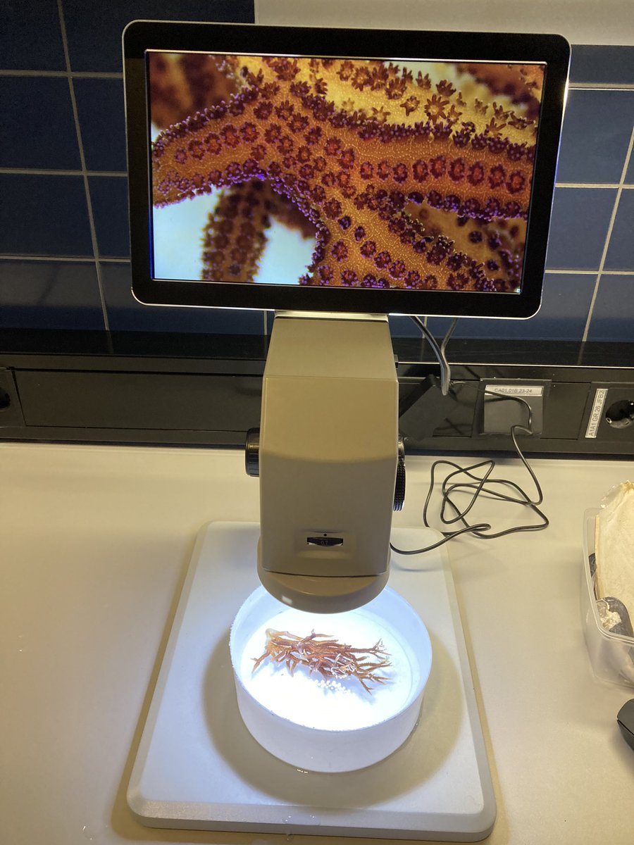 AKVARIET tweet media