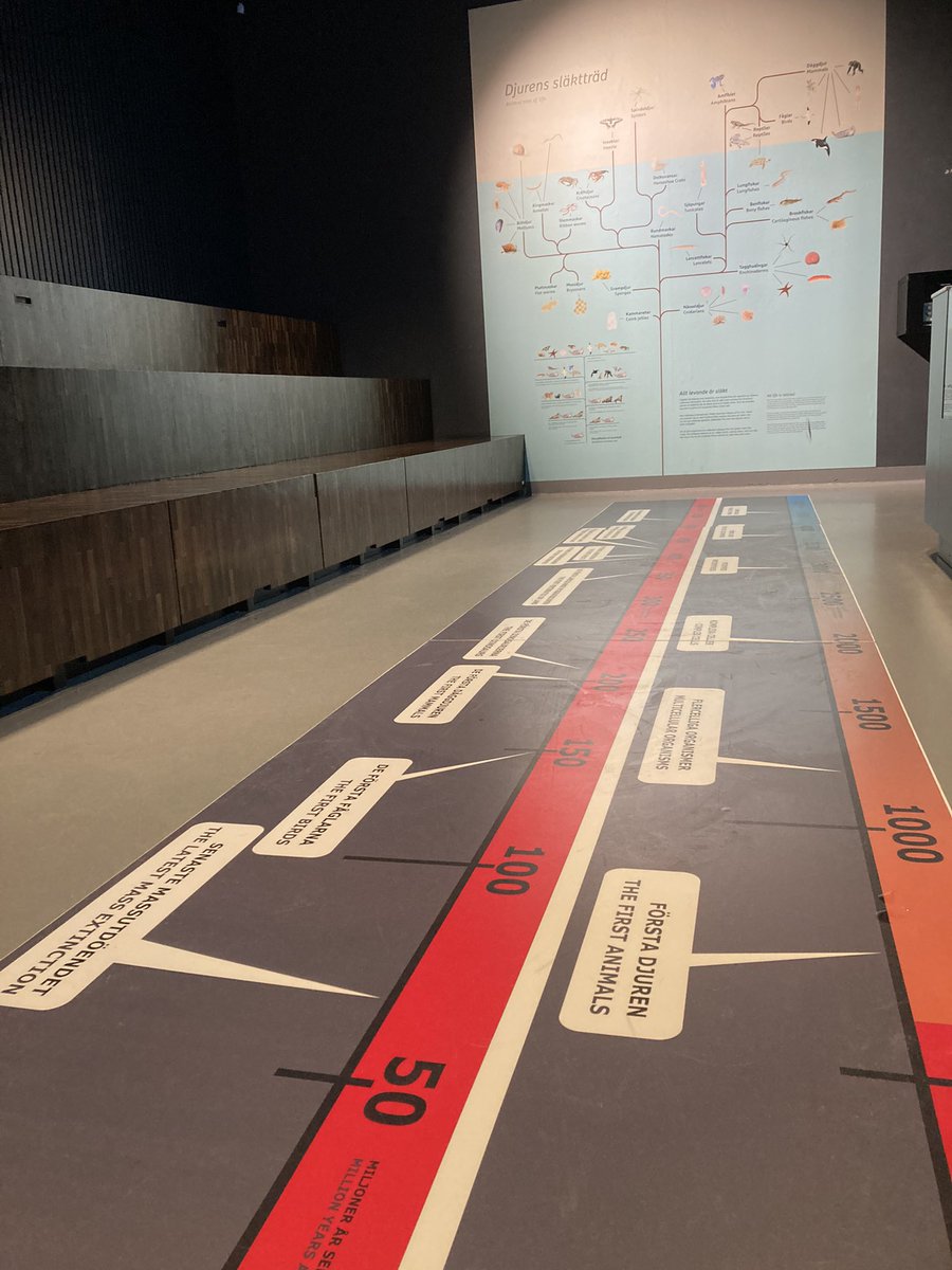 AKVARIET tweet media