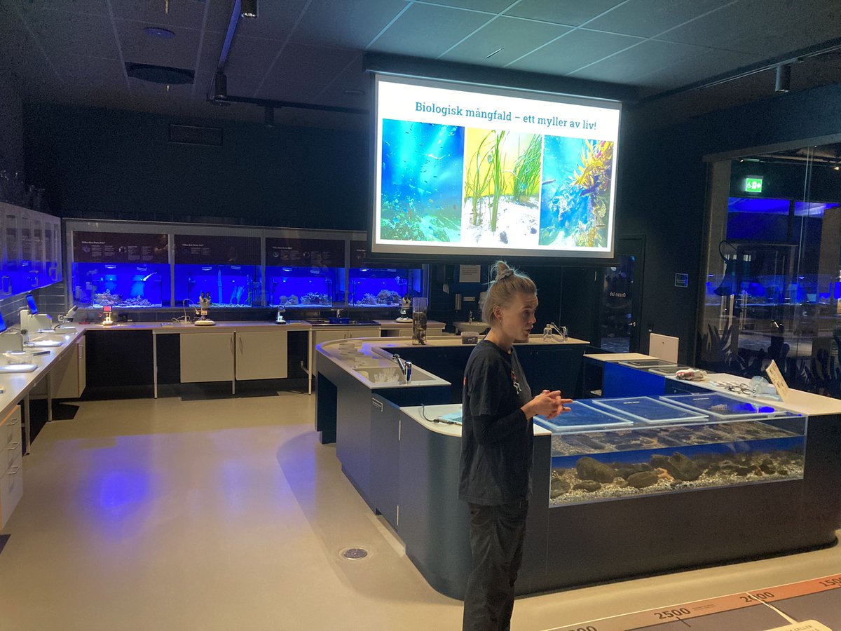 AKVARIET tweet media