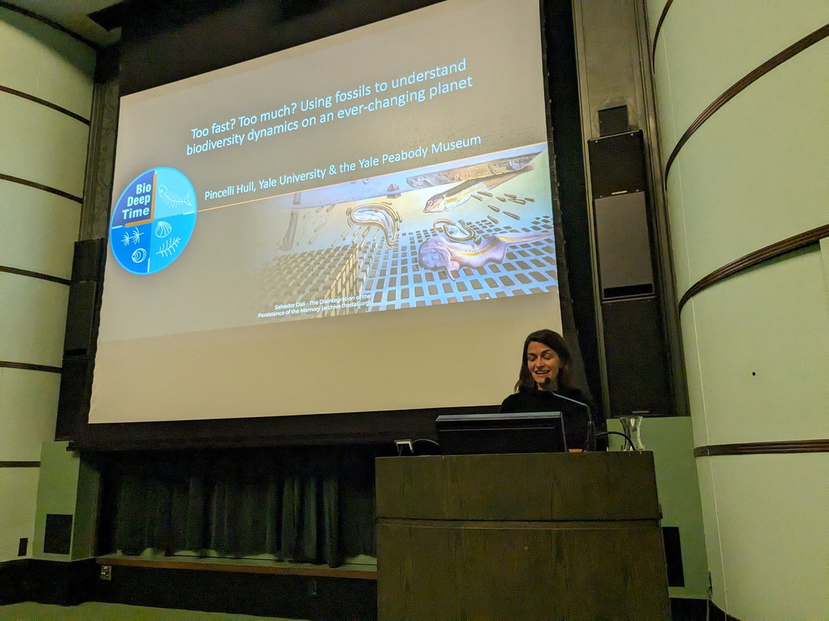 Outstanding talk last night from Celli Hull of @Yale Earth & Planetary Sciences and @yalepeabody--the 62nd Case Memorial Lecture in @UMichPaleo & @MichiganEarth.