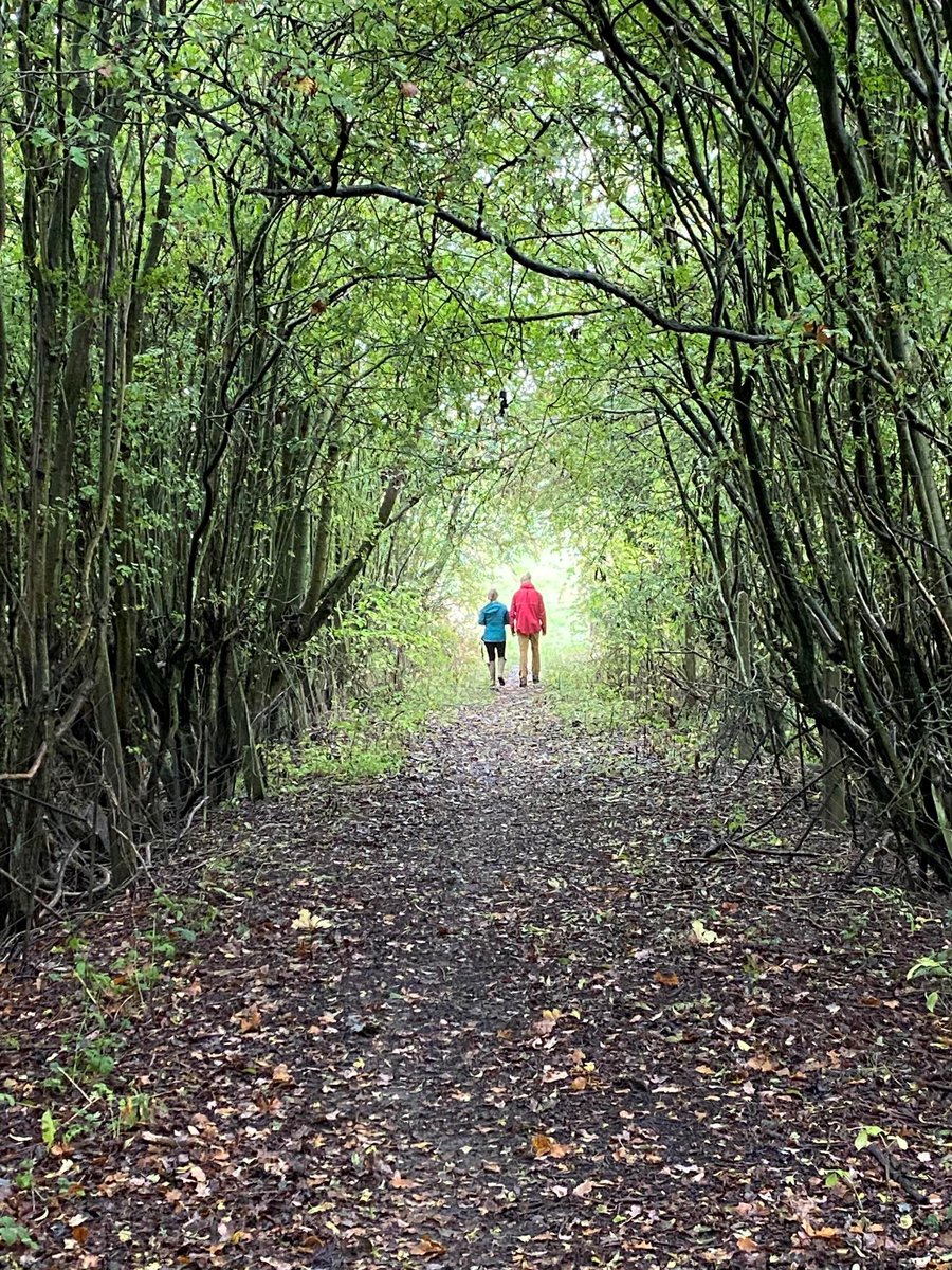 🌳NEW: Forest Bathing at Hidcote This ancient Japanese relaxation practice can help reduce stress and boost health and wellbeing naturally. First session: 10 May 8:30 - 10:00am Book here: tinyurl.com/ycyp57rd