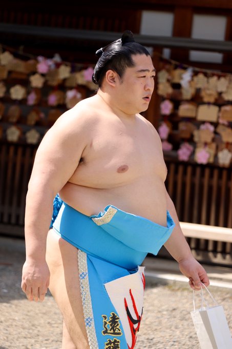 『追手風部屋』の評価や評判、感想など、みんなの反応を1週間ごとにまとめて紹介!|ついラン