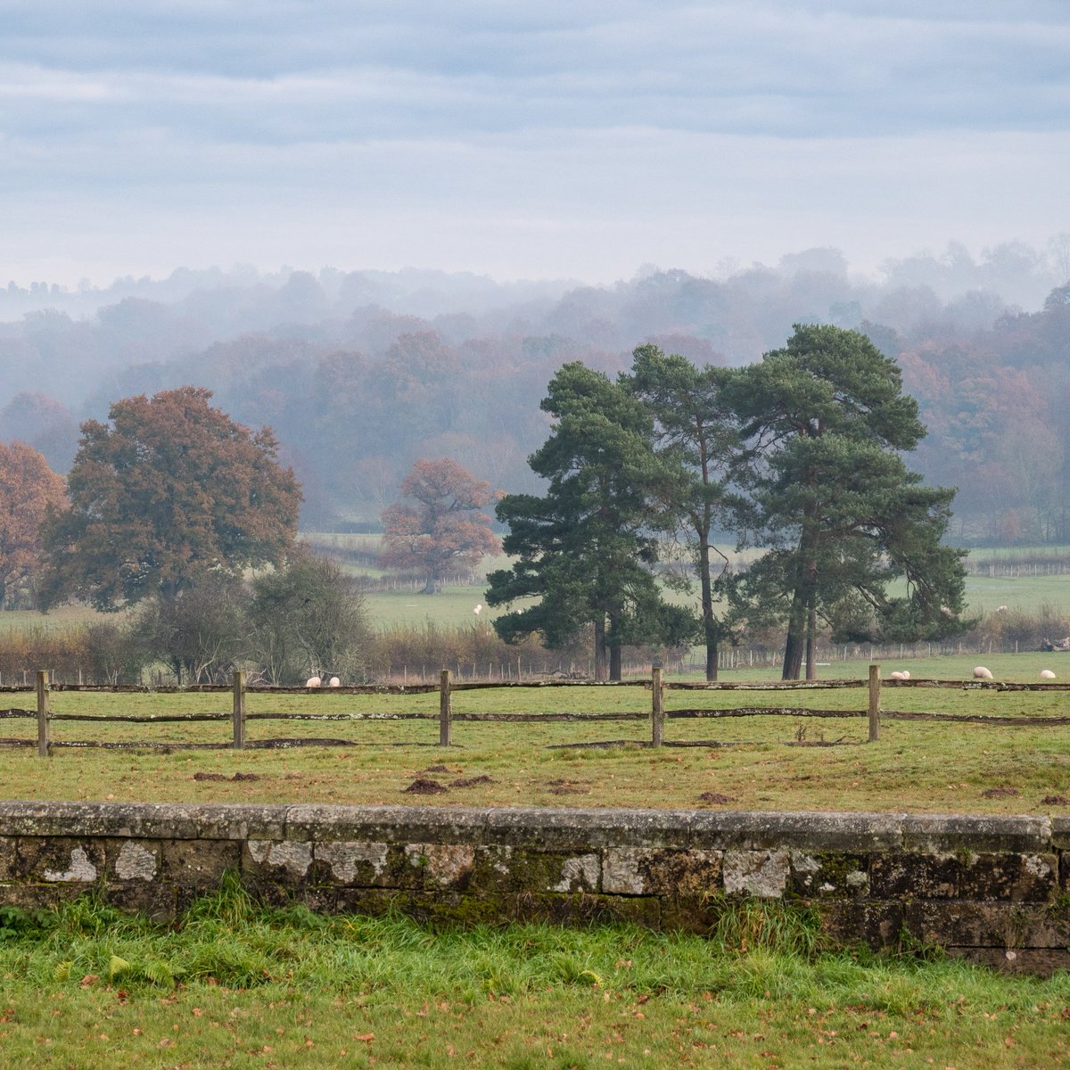 scotneycastleNT tweet picture