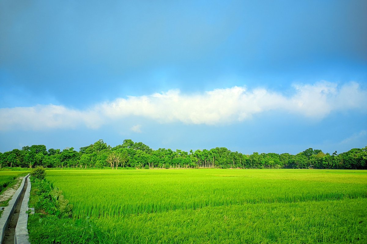 It's very hot today but it's a very nice afternoon #everyone 🌄