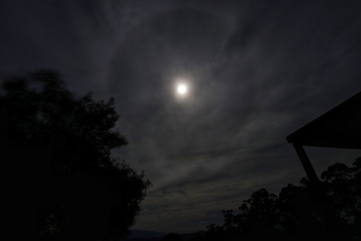 #MOONLIGHT #Halo Lunar Halo a few moments ago at Hill End Victoria. Getting icy up there @StormHour @VicStormChasers