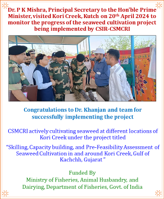 Dr. P K Mishra, Principal Secretary to the Hon'ble Prime Minister, visited Kori Creek, Kutch on April 20, 2024, to monitor the progress of the seaweed cultivation project being implemented by CSMCRI. The Inspector General (IG) of BSF also accompanied him @CSIR_IND