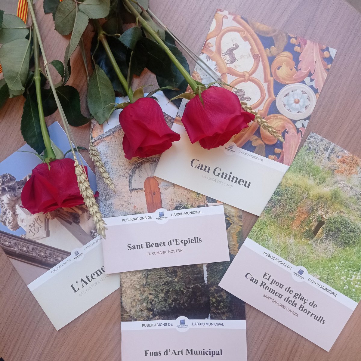 Feliç Sant Jordi! 🐲🌹

#SantJordi2024 
#Arxius
#SantSadurni