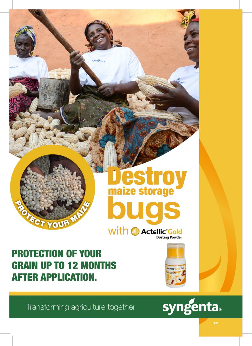 ACTELLIC Gold Dust is a broad spectrum grain storage insecticide for use against grain storage pests.

Protect stored gains for 12 months and consume only after 2 weeks of applying ACTELLIC Gold Dust.
 
#SyngentaZambia #FutureFarming #SyngentaAtAgriTech