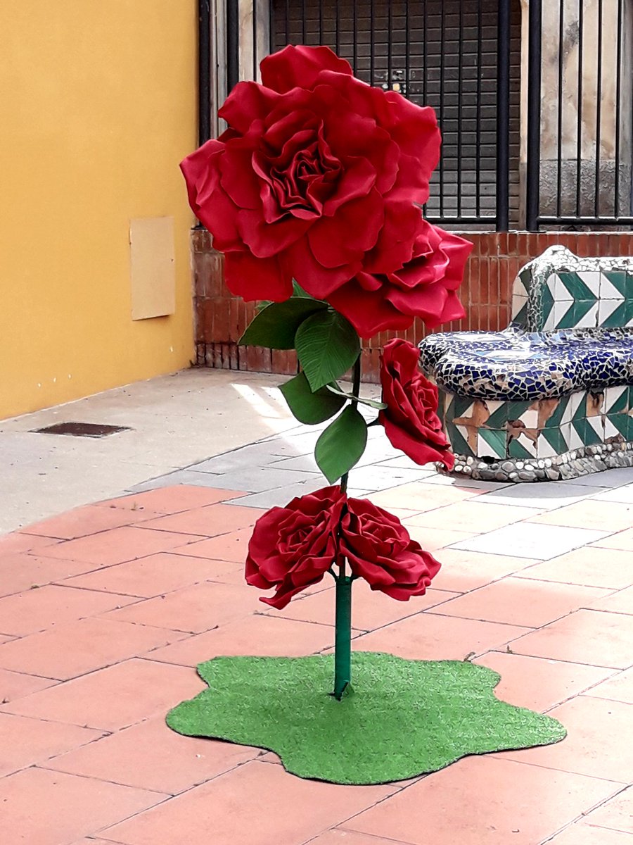 Feliç Sant Jordi i Bona diada a tothom!!
Felicitats als Jordis 😘🌹📖