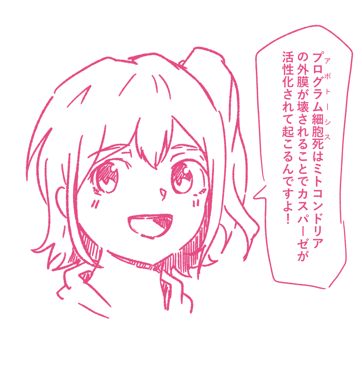 かしこいちゃ