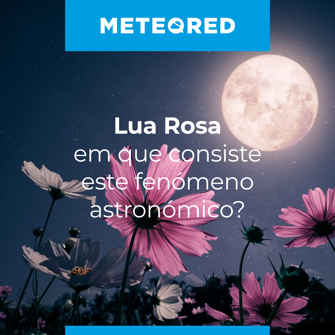 MeteoredPT's tweet photo. 🌝🌸 A espetacular #LuaRosa de abril vai iluminar o céu. Veja aqui como a pode ver.
🗞️ Todos os pormenores deste evento com @glomar75_.
https://t.co/sKkltND9tu https://t.co/B2N6OW7Ju6