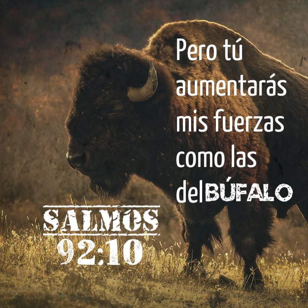 roxfiore's tweet photo. Buen día mundo... Dios aumentará tus fuerzas. https://t.co/HRVukTL2Ew