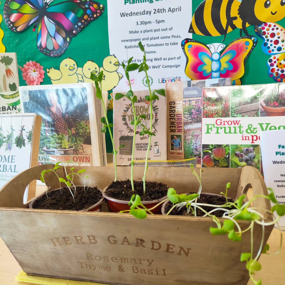 Looking forward to our Family Seed Planting Event tomorrow between 3.30-5pm. The tomatoes, peas and radishes we planted a fortnight ago are coming along well.