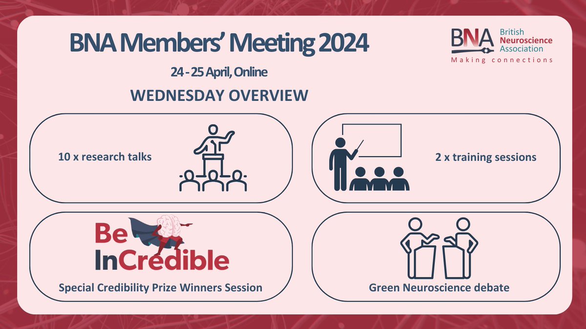 Take a look at what's on offer at our Members' Meeting tomorrow! There is still time to register here: bna.org.uk/mediacentre/ev… For those already registered, check out the agenda on Swapcard. We look forward to having you with us. #BNAMembersMeeting2024 #NeuroscienceResearch
