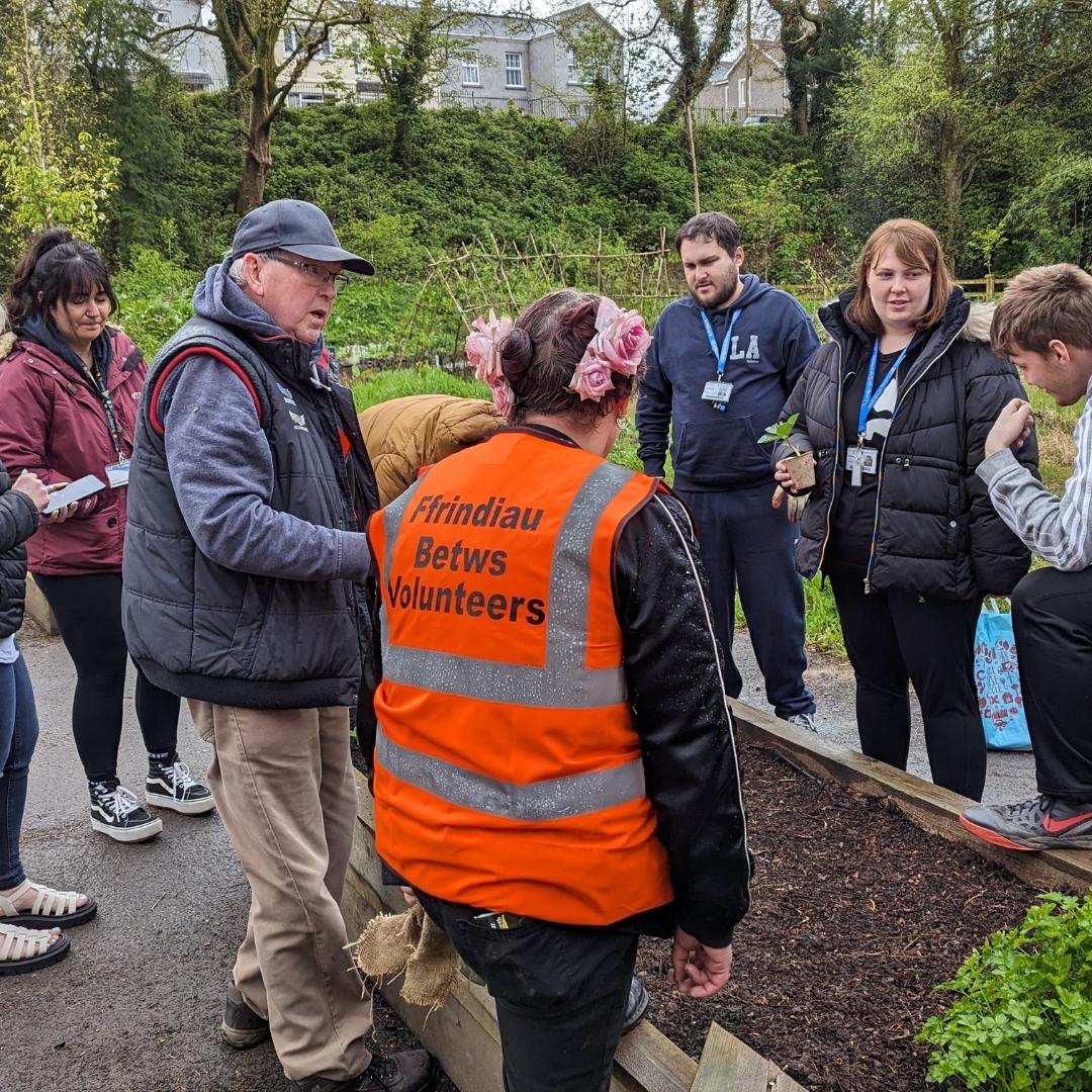 Today @colegsirgar students planted Broad beans plants in their raised beds, also others moved compost from 1 area to another. Ensuring air will get to the mix to make better compost for next year. @HeritageFundCYM @HeritageFundUK @WelshGovernment #localplacesfornature #outdoors.