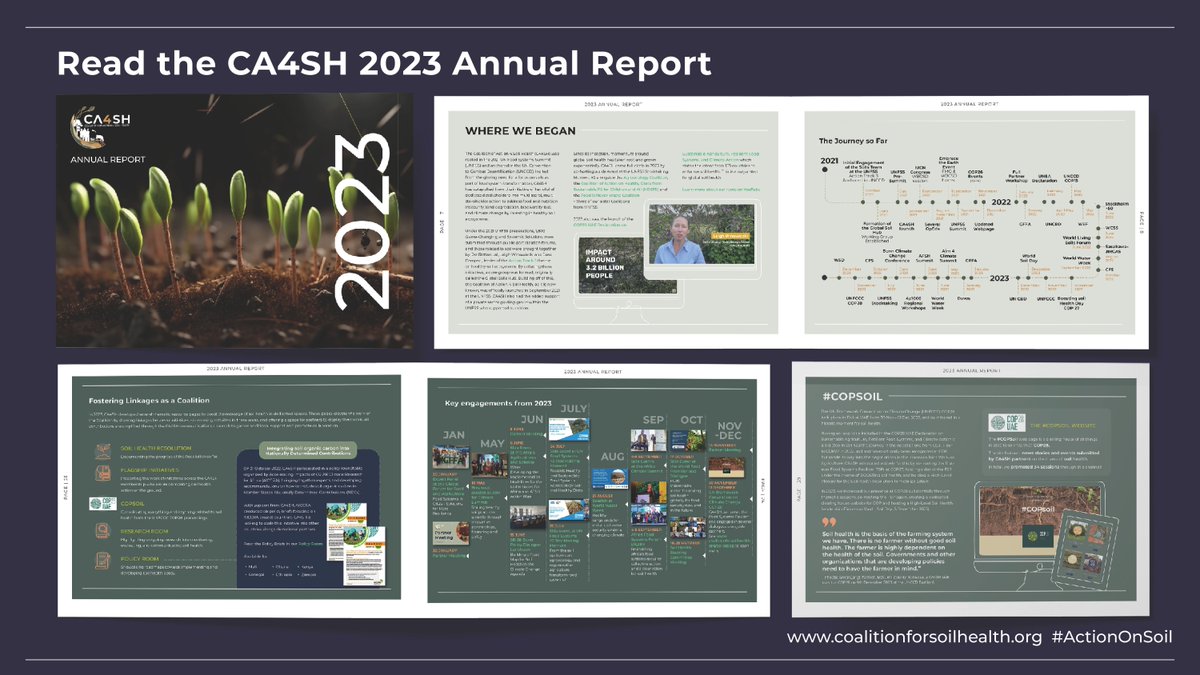 CA4SH doesn't just talk the talk💁🏽

Get a glimpse of how @ca4sh_global walked the walk and drives #ActionOnSoil in the #CA4SH2023 Annual Report

Read it here: coalitionforsoilhealth.org/news/2023-in-r…

#SoilHealth #COP28 #COPSoil #SaveSoil #ClimateAction #UNFSS #UNCCD #UNFCCC
