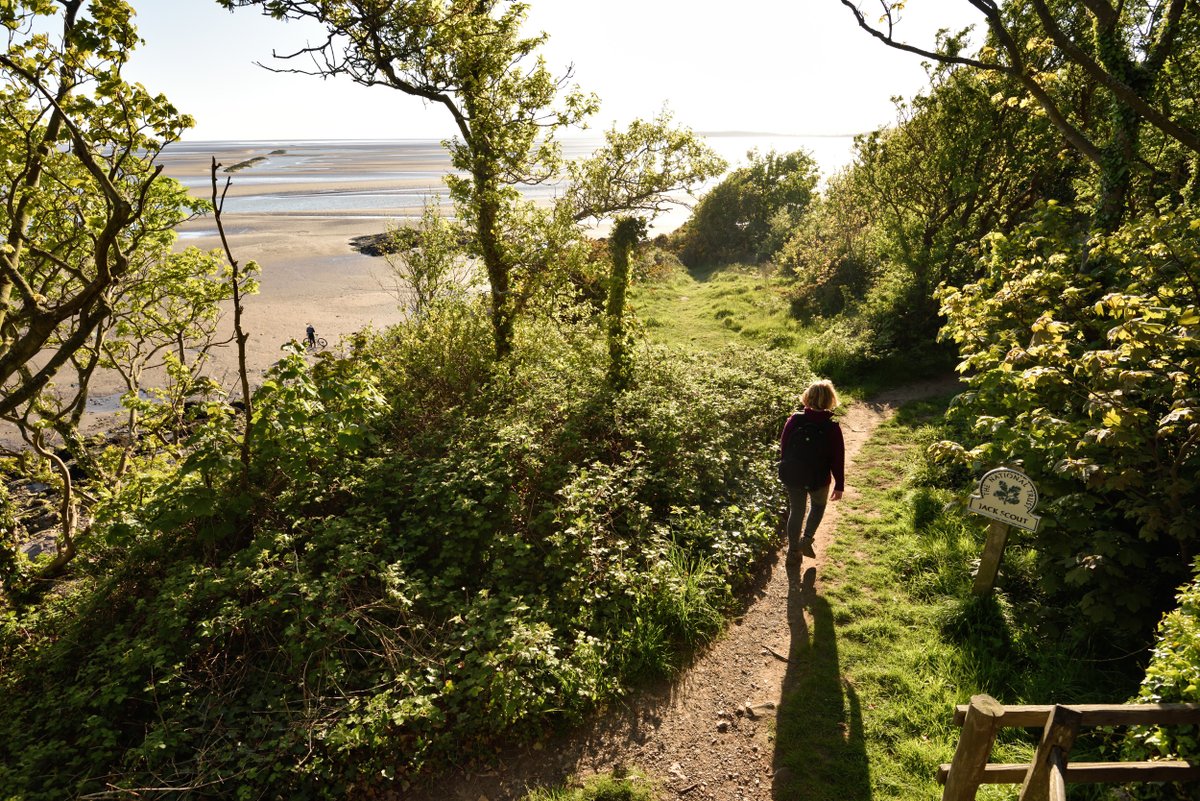 This #NationalWalkingMonth, leave the car behind... 🌊 Ancient woodland, limestone grassland and sea views 🚆Stations at Arnside and Silverdale 🥾@ArnsideSilverNL routes - our favourites are 'Route 51' and 'Stunning Silverdale' bit.ly/4aLIN5H bit.ly/3Us6xpK