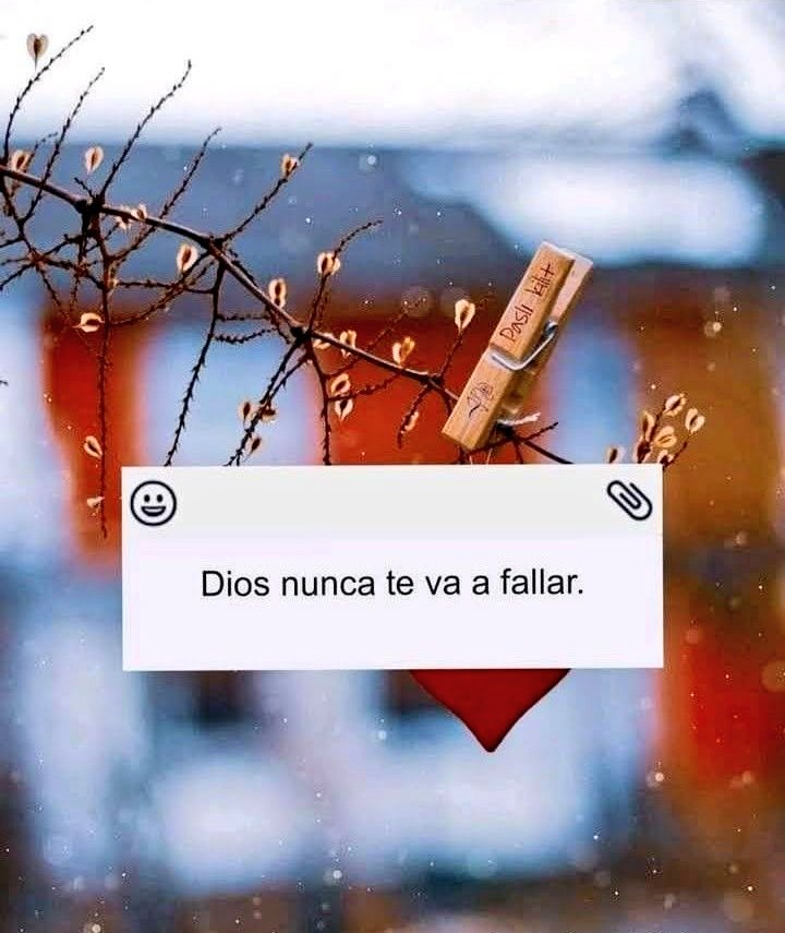 Dios nunca te va a fallar.