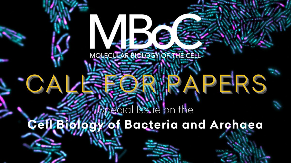 MBoC Call for Papers: Special Issue on #CellBiology of Bacteria and Archaea Submit an article by Dec 31 to be considered by lead editors: @goleylab, @JohnsHopkins @fleshball, @Harvard Learn more and submit: molbiolcell.org/bacteria-archa…