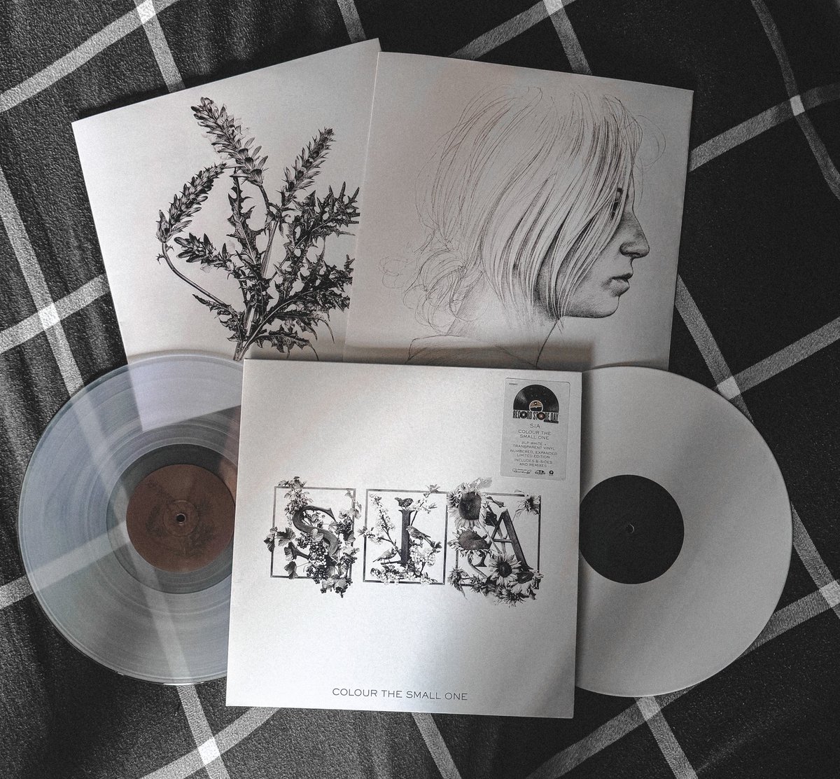 RyanRGerrard's tweet photo. Itβs #ColourTheSmallOne day π΅ IT CAME π₯ @Sia #LimitedEdition https://t.co/OhOqn4gRx8