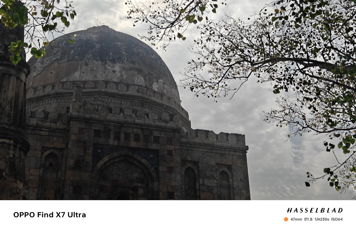 Ashri Khandelwal tweet media