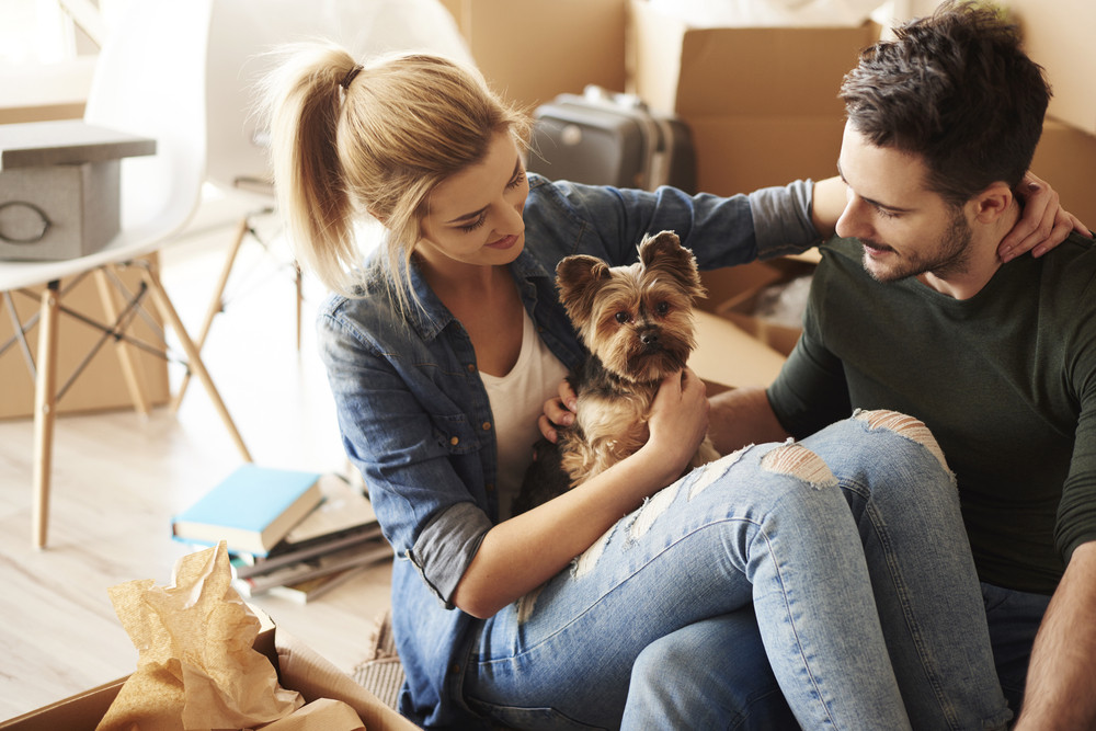 craigvanlines's tweet photo. 3 Reasons You Should Be Looking to Move This Year: For many people, the thought and experience of moving are generally stressful. However, when done right, moving can go smoothly with minimal stress. For instance, you can get moving help to avoid doing… https://t.co/mfINC3F3re https://t.co/YgR0B1V2r1