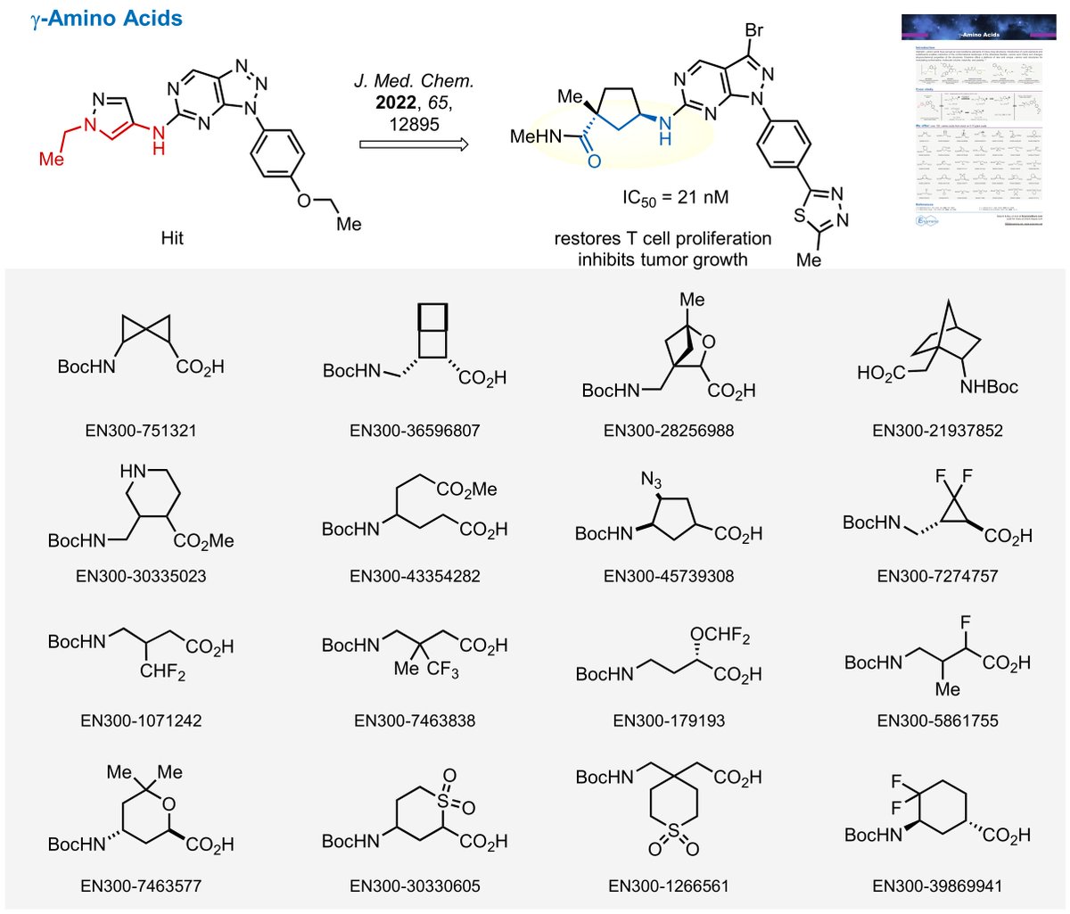 Enamine offers a plethora of rare and often unique γ-amino acid structures for modulating the conformation, molecular volume, polarity, reactivity, and more: bit.ly/3JmQR0v Try our γ-amino acids in your research!