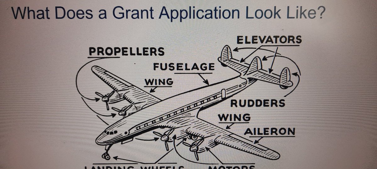 Rumana Newlands tweet media