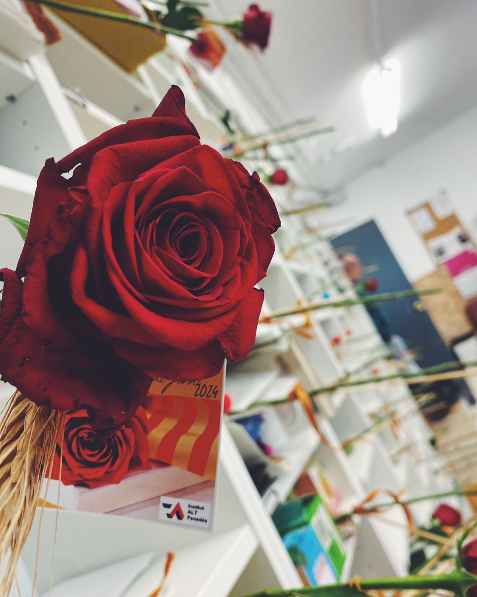 ins_alt's tweet photo. Des de l'Institut Alt Penedès us desitgem un feliç Sant Jordi. #insalt #SantJordi2024 https://t.co/31IENZL3NU