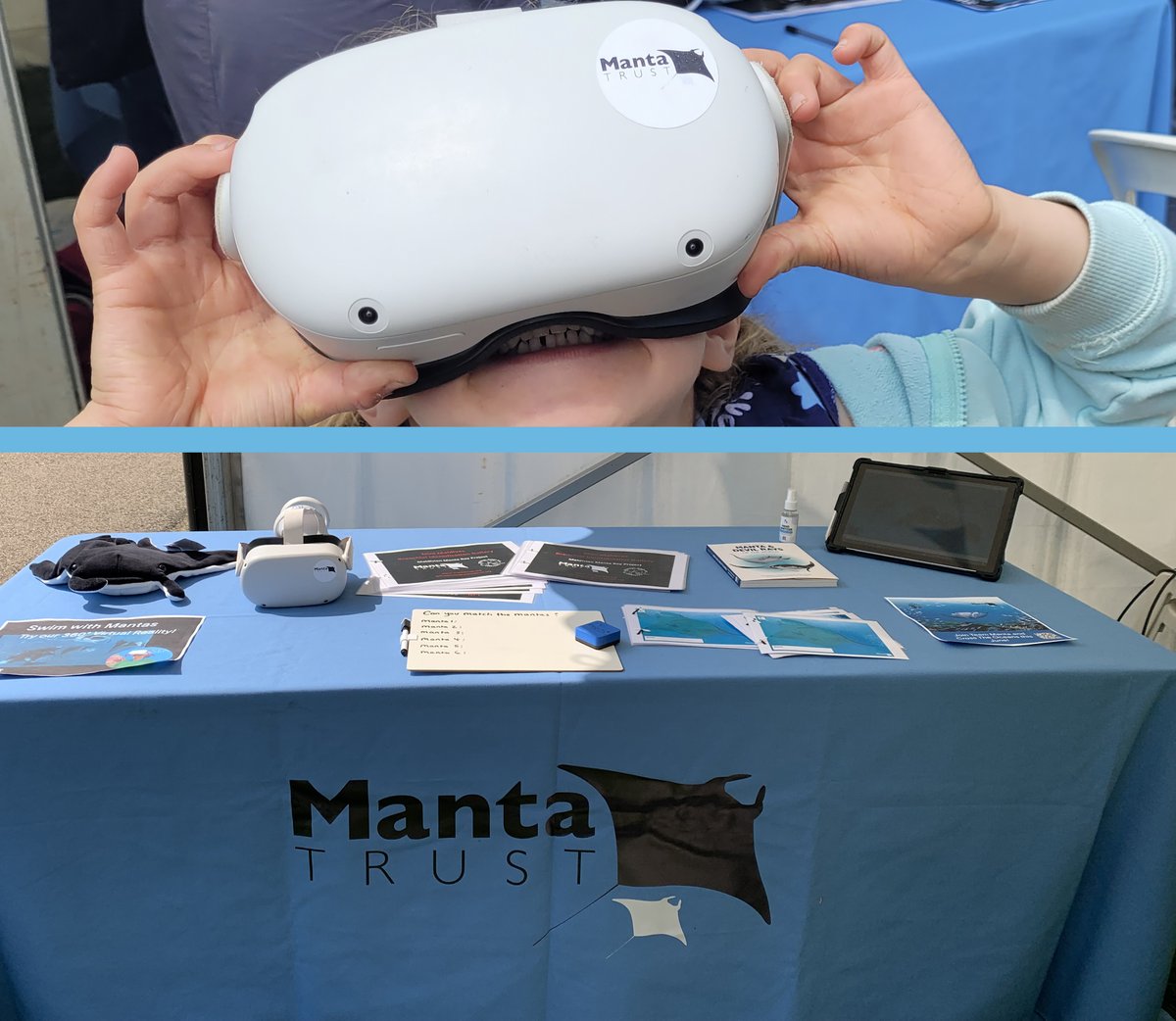 Virtually experience the thrill of swimming with the oceans animals with @MantaTrust & test your Manta Ray identification skills at #STEMInthePark2024 Sat 18 May 11am- 4pm Memorial Gds, #Crawley @crawleybc @Gatwick_Airport #family #fun #STEMforKids #careers #STEM #FREE entry.