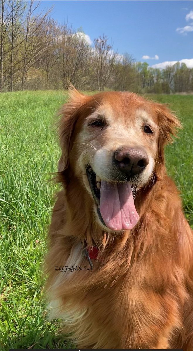 Kate🌈🧡💛 tweet media