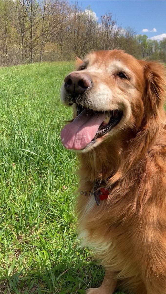 Kate🌈🧡💛 tweet media