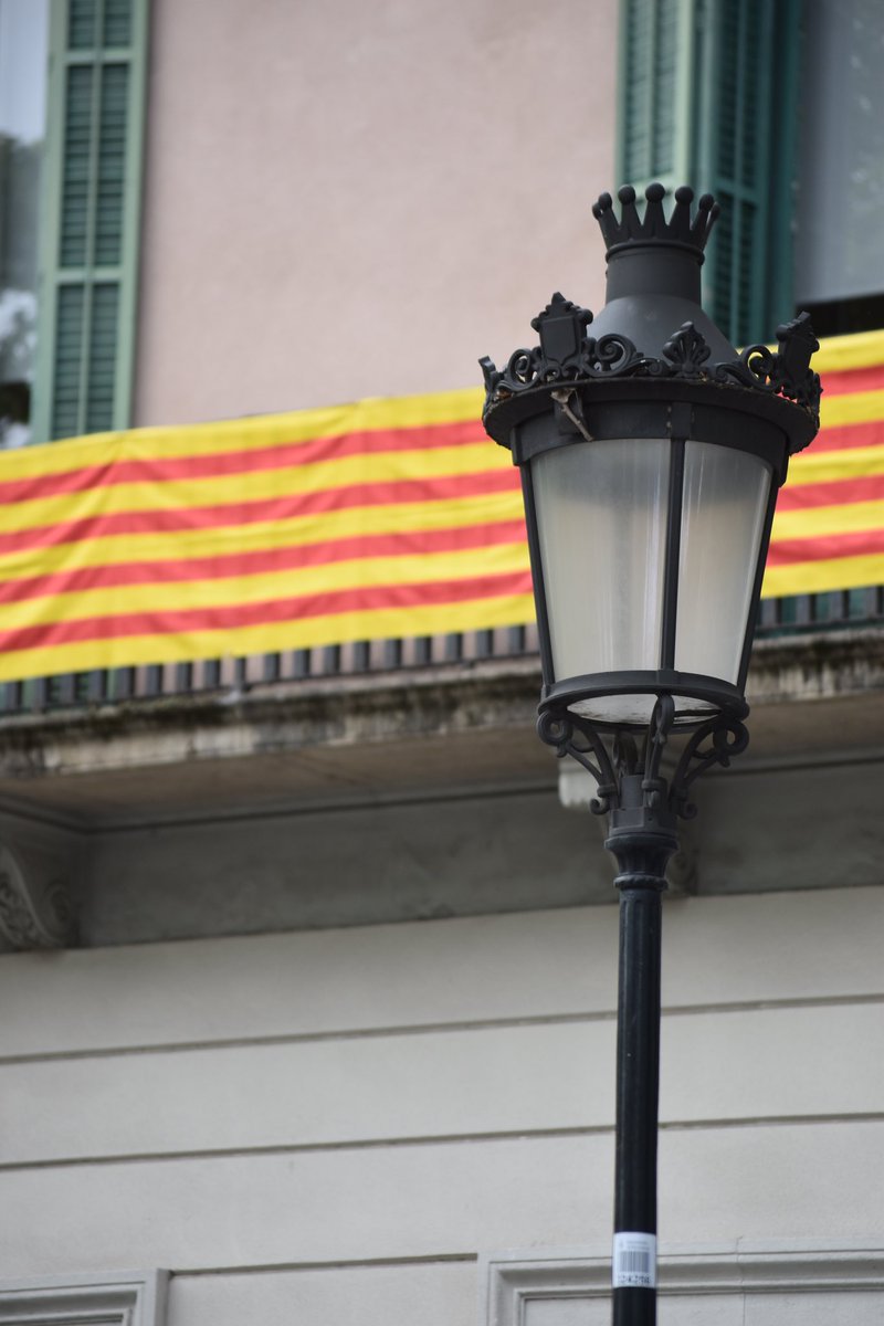 DAmatiPuigsech's tweet photo. La nostra gran revolució ha estat construir un país a partir de la llengua i la cultura. Una nació que defuig dels orígens personals per arrelar sobre les paraules.

La revolució més bonica i, com totes, una revolució inacabada.

Bona diada, família. Visca Catalunya lliure! https://t.co/kgLsXjR75i