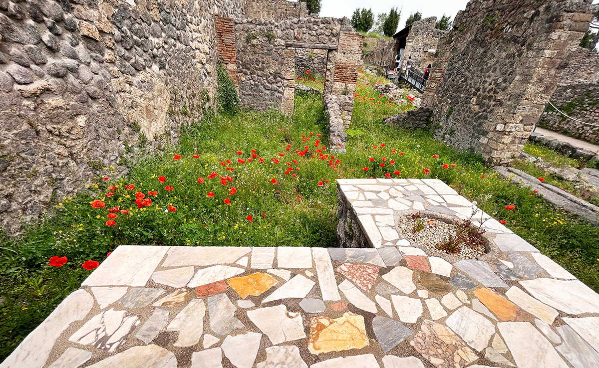 Pompeii in bloom: The site is looking particularly stunning at the moment — awash with the vibrant colours of #Spring. #Pompeii #Roman