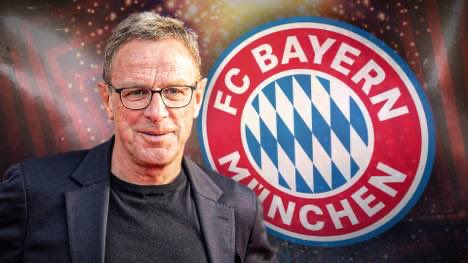 Ralf Rangnick’s experience as a coach: • Austrian national team (2022-) - 1,95 points per game • Manchester United (2021-2022) - 1,45 points per game • RB Leipzig (2018-2019) - 1,92 points per game • RB Leipzig (2015-2016) - 1,94 points per game • Schalke (2011) - 1,52