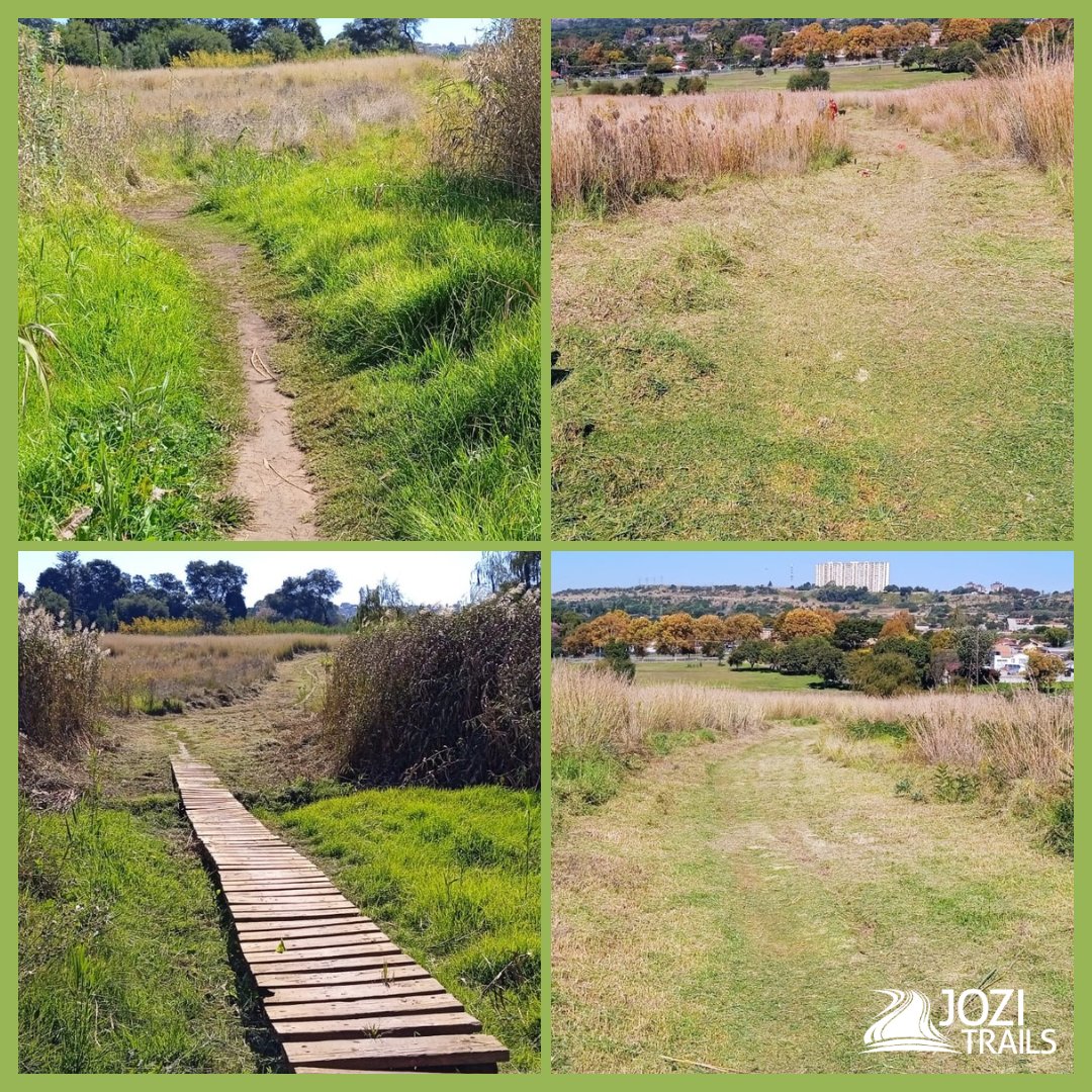 Can you guess where the team is working this week?  📷🌳

We have been hard at work improving the trails!
#jozitrails #thetrails #maintenance #repairs #Johannesburg